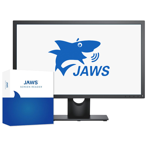 A screen shot of the JAWS software running on a Windows computer.